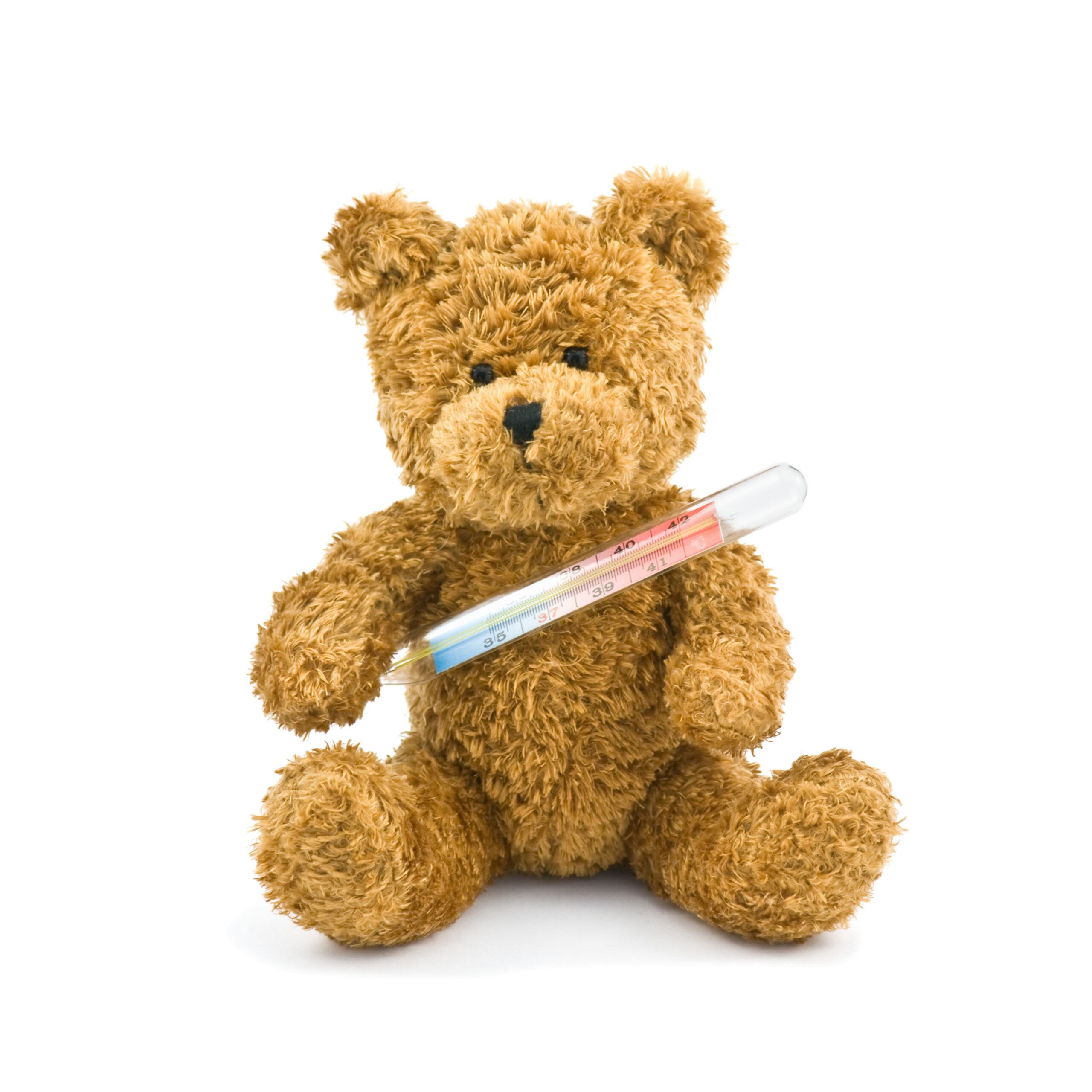 Nounours
